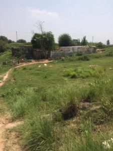 14095787_1726392580947461_4776132958196123994_n