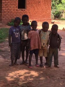 16830994_1805279349725450_5795372888764399994_n